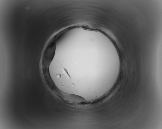 X0000087620936200705251959