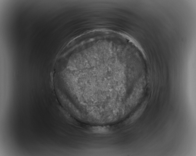 X0000087620937200705251959