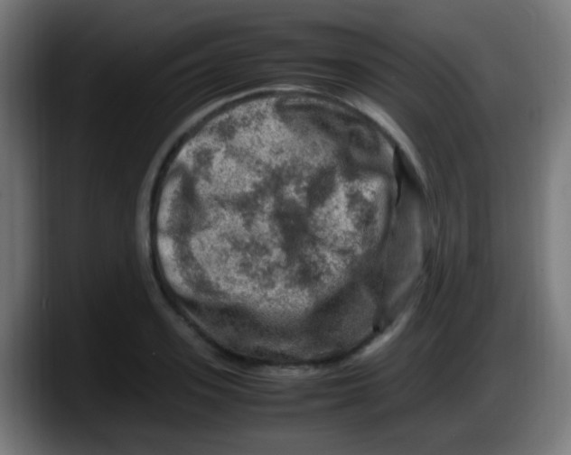 X0000087620939200705252000