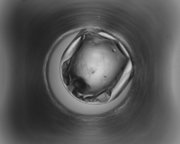 X0000087620942200705252000