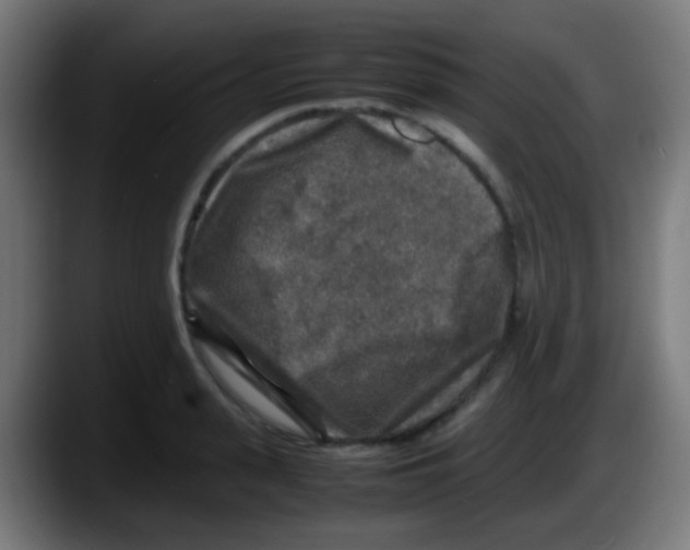 X0000087620943200705252000