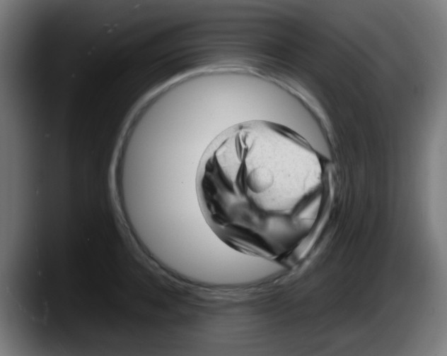 X0000087620944200705252000