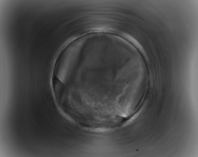 X0000087620946200705252000