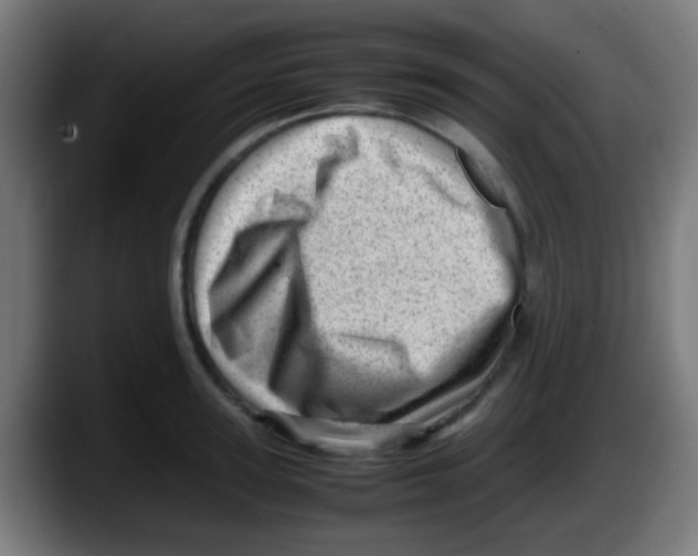 X0000087620947200705252000