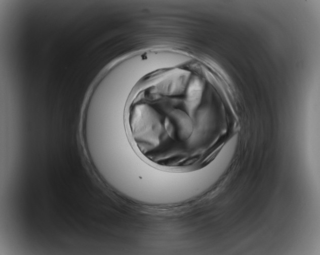 X0000087620948200705252000