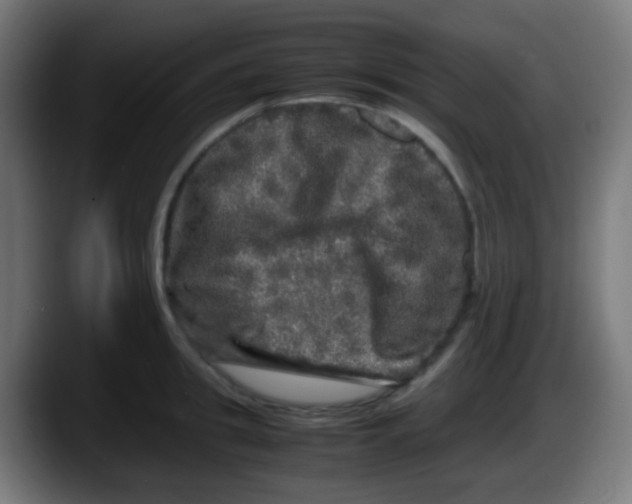 X0000087620949200705252000