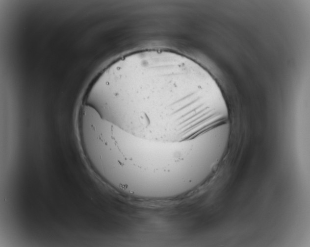 X0000087620950200705252000