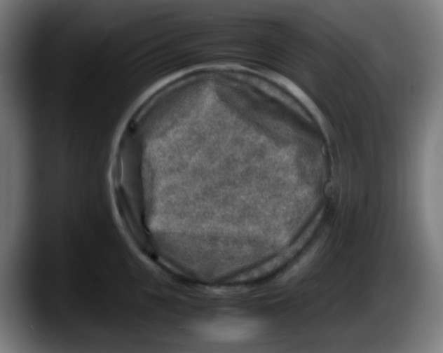 X0000087620951200705252000