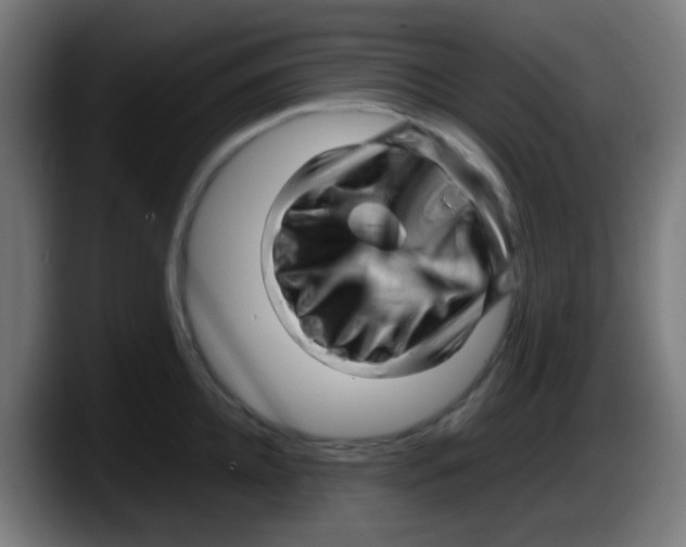 X0000087620952200705252000
