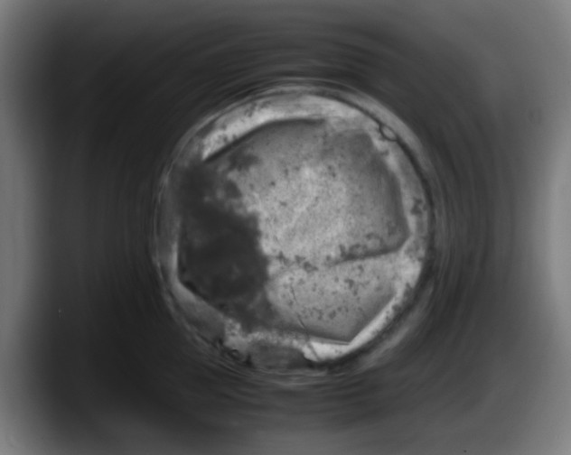 X0000087620953200705252000