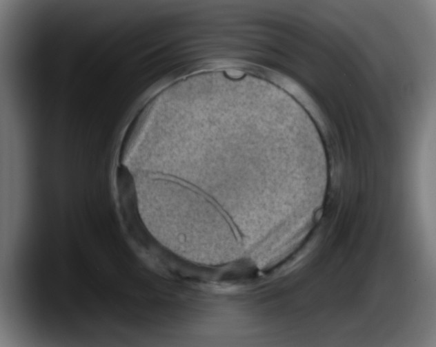 X0000087620954200705252000