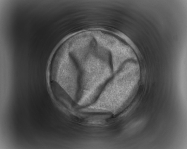 X0000087620955200705252000