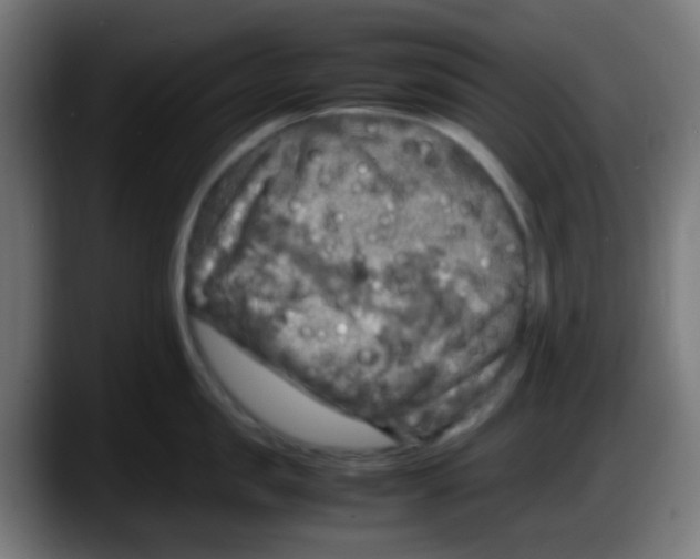 X0000087620957200705252000