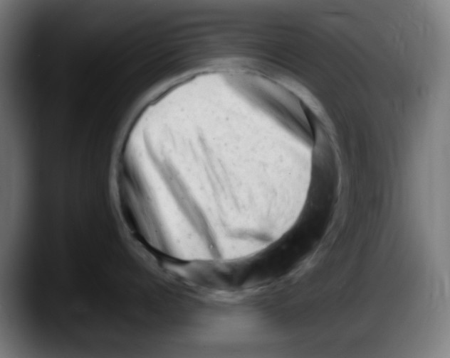 X0000087620960200705252000