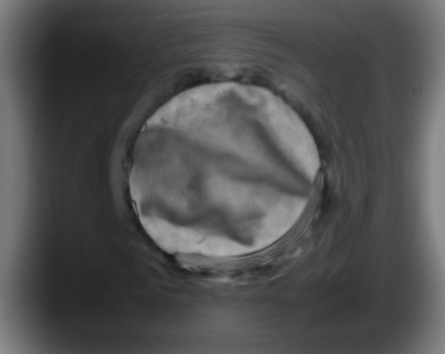 X0000087620961200705251959