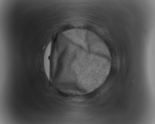 X0000087620962200705251959