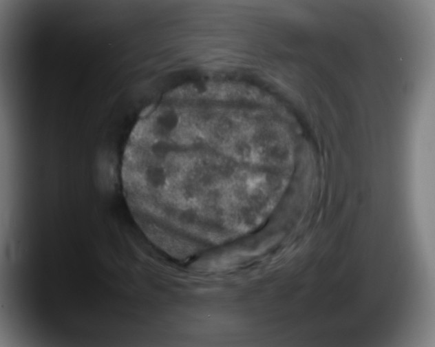 X0000087620963200705251959