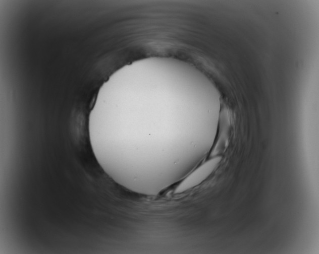 X0000087620964200705251959