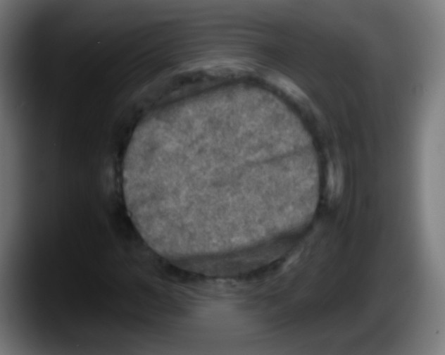 X0000087620966200705251959
