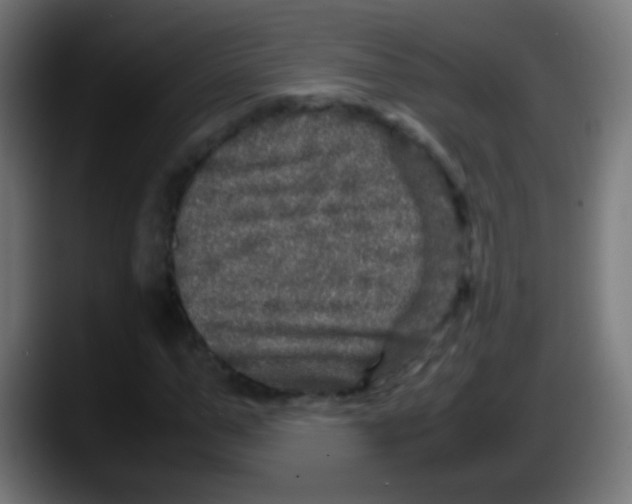 X0000087620967200705251959