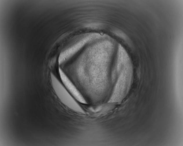 X0000087620968200705251959