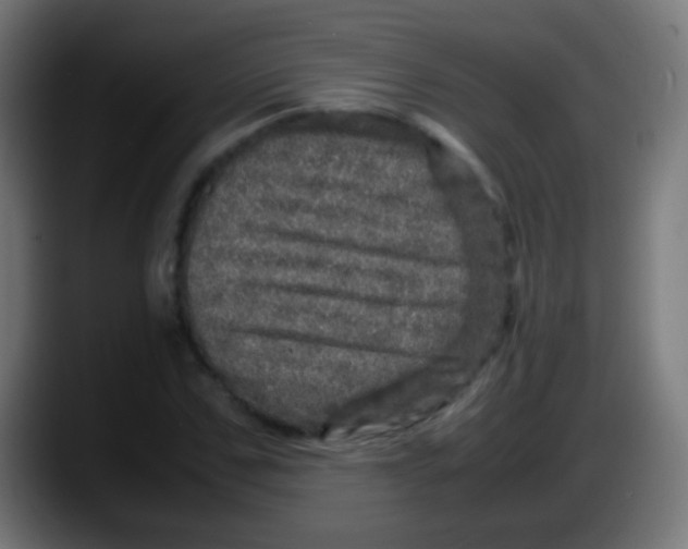 X0000087620971200705251959