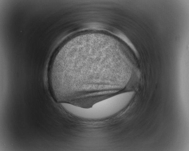 X0000087620972200705251959