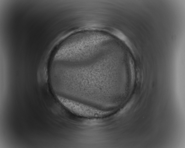 X0000087620973200705251959
