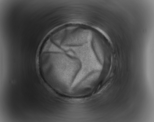 X0000087620976200705251959