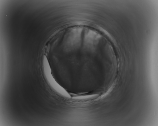 X0000087620977200705251959