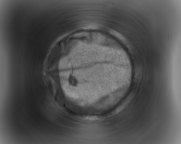 X0000087620978200705251959