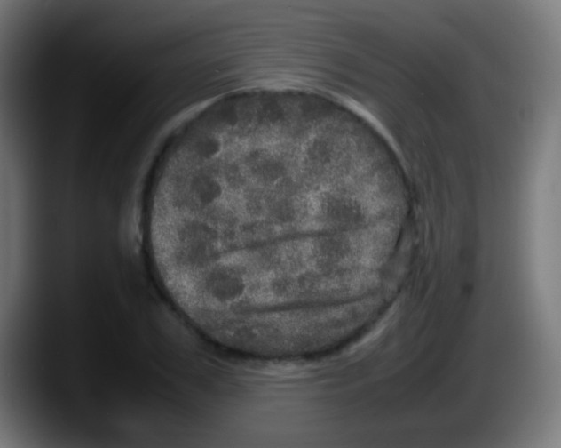 X0000087620979200705251959