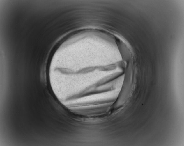 X0000087620980200705251959