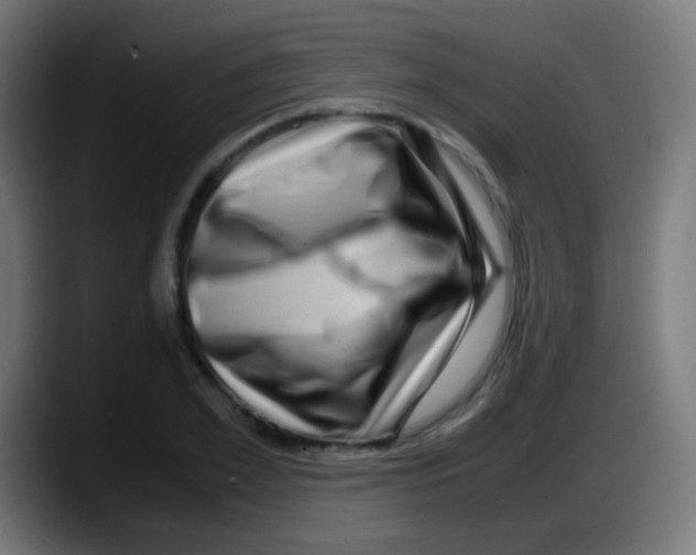 X0000087620981200705251959