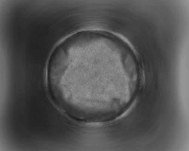 X0000087620982200705251959