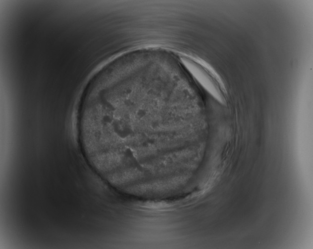 X0000087620983200705251959