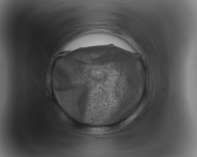 X0000087620985200705251959
