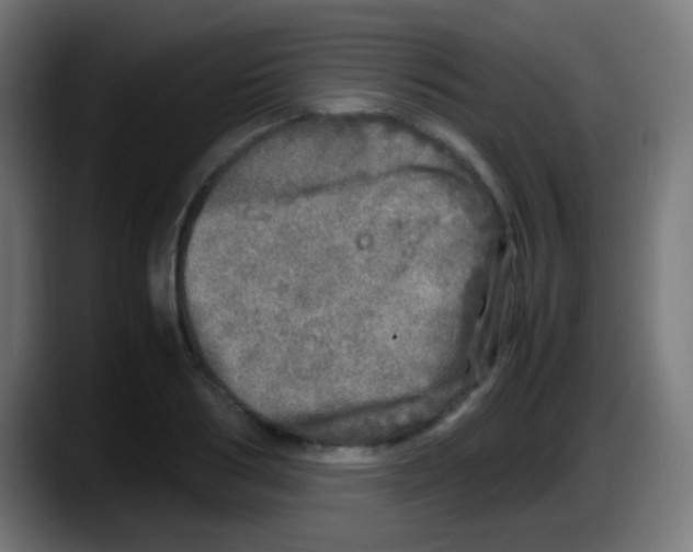 X0000087620986200705251959