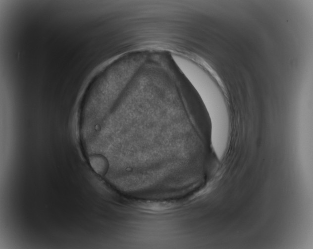 X0000087620987200705251959