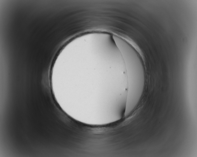 X0000087620988200705251959
