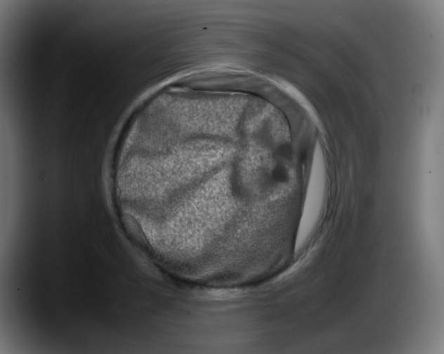 X0000087620989200705251959