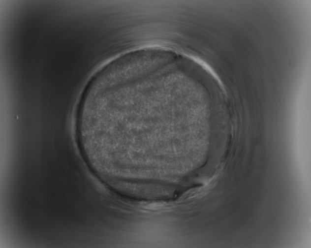 X0000087620991200705251959