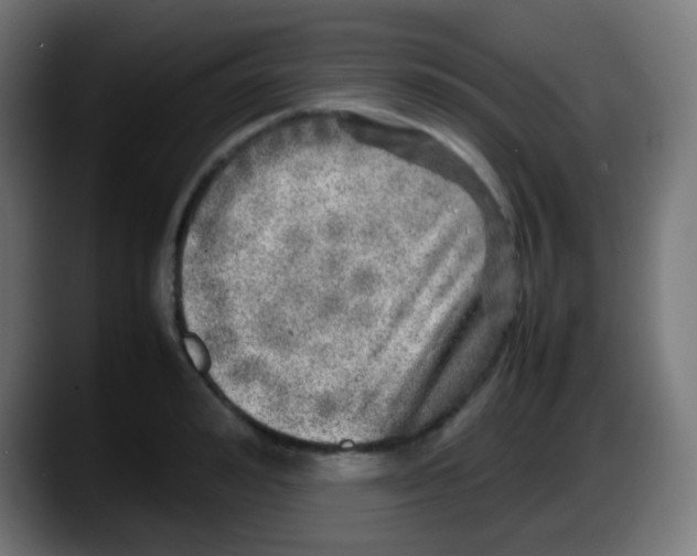 X0000087620992200705251959