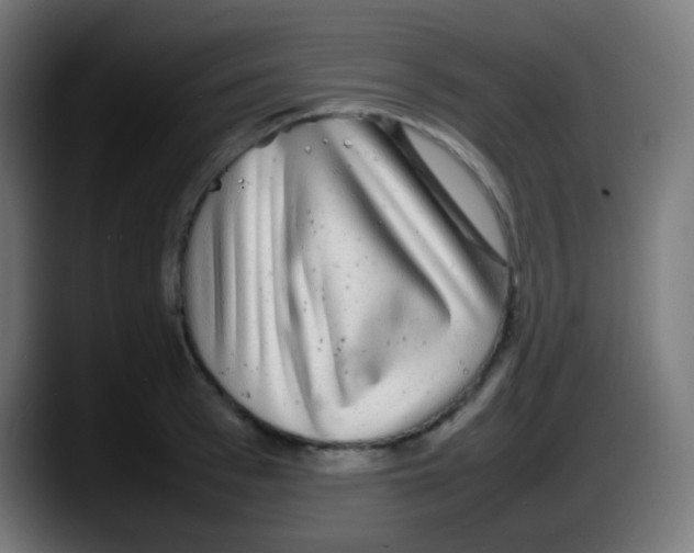 X0000087620993200705251959