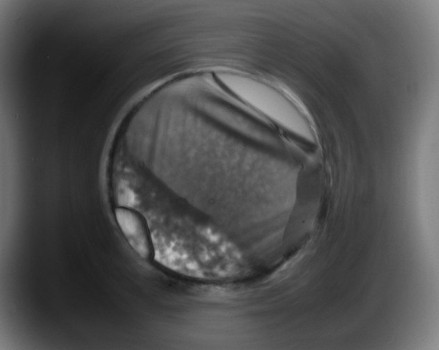 X0000087620995200705251959