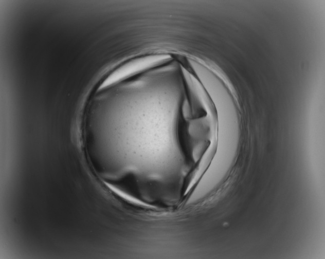 X0000087620997200705251959