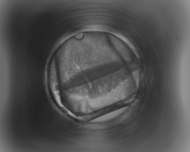 X0000087620998200705251959