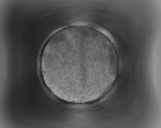 X0000087621000200705251959