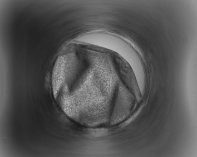 X0000087621001200705251959
