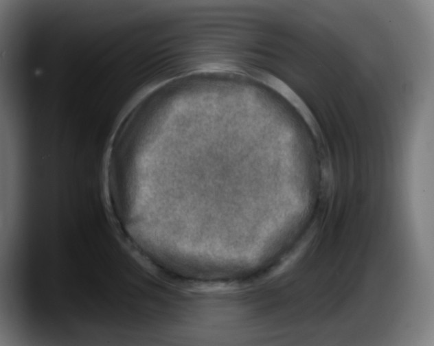 X0000087621002200705251959